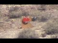 640 yards, open sights, Swiss K31, Schmidt-Rubin Model 31 640 yards, open sights, Swiss K31, Schmidt-Rubin Model 31