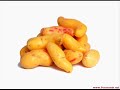 plantas domesticas del perú prehispánico