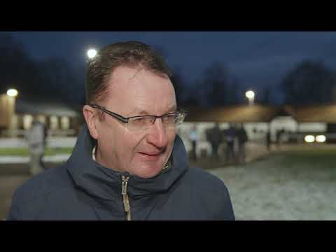 Tattersalls February Sale 2019 Day 1