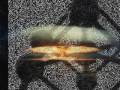 videos de my memory (amv sur metallica 