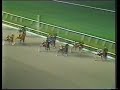 1979 Woodrow Wilson Final NIATROSS - Meadowlands Racetrack 1979 Woodrow Wilson Final NIATROSS - Meadowlands Racetrack