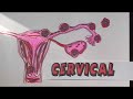 Ectopic Pregnancy Ectopic Pregnancy