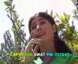 Pashto Comedy Drama Khiratyan P 1