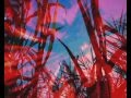 D.J.Sasha-V.J.gamili.com Wavy Gravy