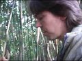 A vis�o do mundo do Bamb� - Bamboo\