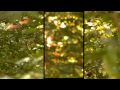 Video for CausaliDox - There Is No Looking Back www.myspace.com/CausaliDox www.glaxclock.com Shot on DVX100BE