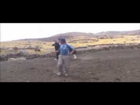caballos salvajes - AKIIIIIIIII!!! http://www.youtube.com/watch?v=nkVLtrzZqBY LA 2da PARTE MAS XVR :::::: ECHALE CLICK AL LINK.