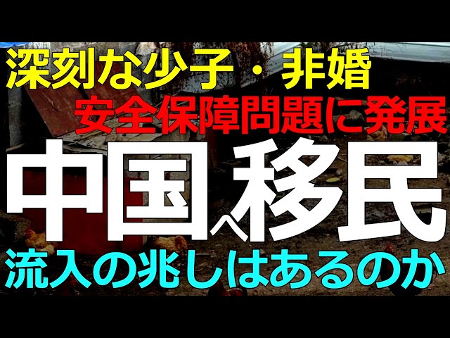 葦原大和が「中国の少子高齢化は日本より深刻で、政府の対策は効果が薄い」と解説