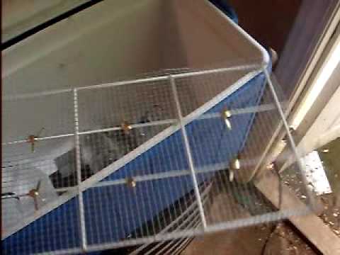 how to make a homemade egg incubator
