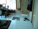 Our flat at banjara hills Our flat at banjara hills