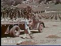 Citrus, The Golden Fruit 1950s Pt 1 Citrus, The Golden Fruit 1950s Pt 1