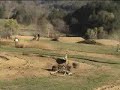 mx573  gone 4 wheeling