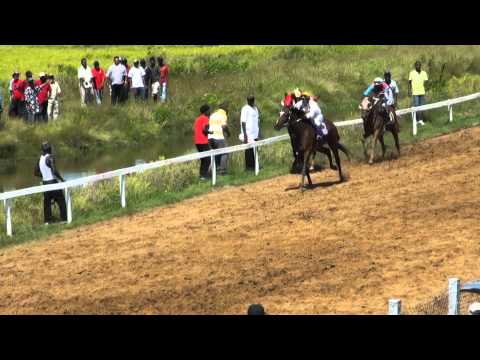 horse racing