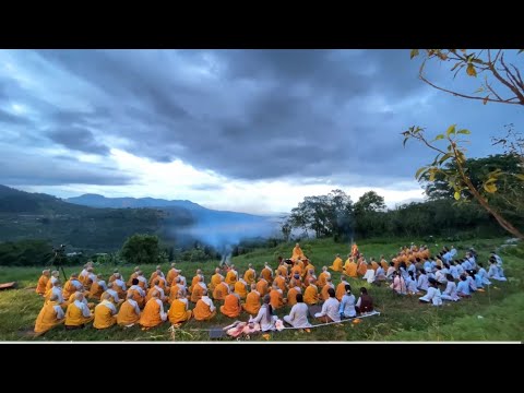 NIKAYA Thiền Quán - Tâm Hiền Sưởi Ấm