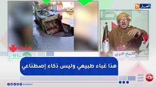 طالع هابط.. حفرة عملاقة تبتلع شاحنة لرفع القمامة بباريكة