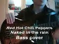 Red Hot Chili Peppers - Naked In The Rain by DavidSinRocks