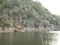 Nido de Cigüeña Negra en Cheles