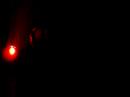 bokkob - locus solus - 14.05.2006