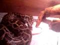 videos de 1-04-08