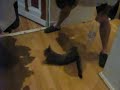 Mein armer Kater...ich hab ihn lieb!!!!