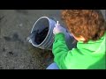 Big Rock Pond Fish Stock Big Rock Pond Fish Stock