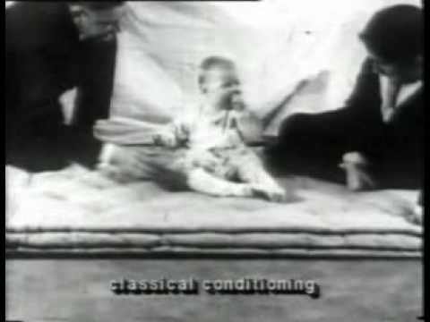 watson - Este primer video que subo ilustra el experimento conductista que realizo Watson sobre el pequeño Albert. Por fortuna pude conseguirlo en castellano (ya que ...