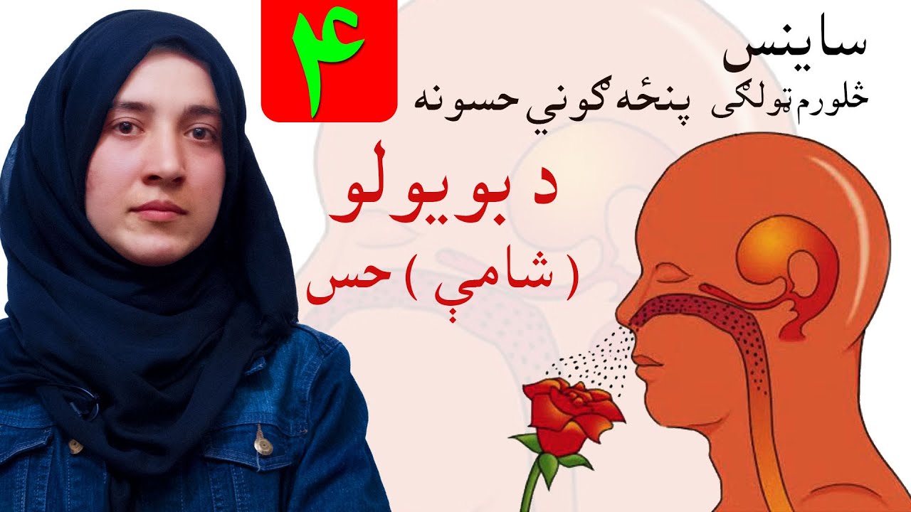 LESSON 4 _ Grade 4 Science / څلورم لوست ـ د ساینس مضمون ـ څلورم ټولګی