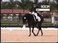 Halbgott - 13 year old Trakehner (p1)