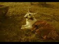2 sexy French maids - RUIN YOUR DAY - TURDZILLA Music Video