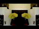 Rendy magician illusionist Silk to Umbrella