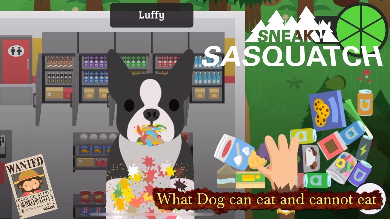 Unleashing The Best Dog Foods For Your Furry Friend A Sneaky Sasquatch Approved List of Top 10