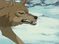 Wolf\