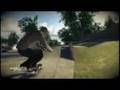 Jimmy Carlin Ea Skate Remake