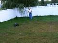 videos de XTM Grizzly 1/5 Scale Gasoline RC Truck