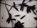 Drahtkrone - Drangsal
