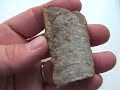 Fossil Cephalopods  Introduction -  part 2 of 3