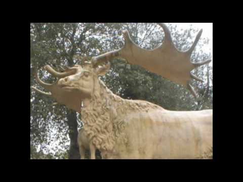 Megaloceros
