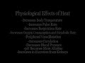 Hot Stone Therapy & Massage - Clip 1