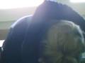 videos de ns tarer 031