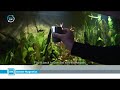 mag-flip medium edit_0001.wmv mag-flip medium edit_0001.wmv