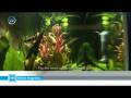 mag-flip medium edit_0001.wmv