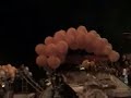 noche regional en el carnaval de mérida