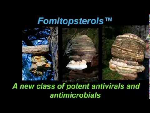 Paul Stamets – Solutions from the Underground: How Mushrooms Can Help Save the World