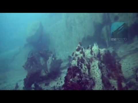 Underwater video of the dive site "Coral Garden" in Pandan Island, Mindoro, Philippines. Edited with