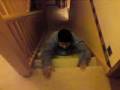 shefs sliding skills