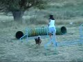 Una tarde divertida Una tarde divertida