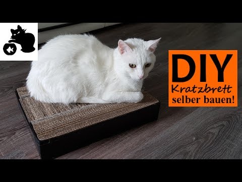 🔥Katzen Kratzbrett selber bauen - DIY Katzenspielzeug selber machen - DIY Kratzbrett aus Kartons