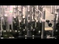 Artisan Wines - Bottling - Halbturn/Burgenland/Austria