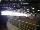 Fiesta Classic Horse Show - Day 1