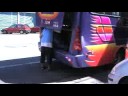 200806 南橫毛地黃 19 人 18 台車